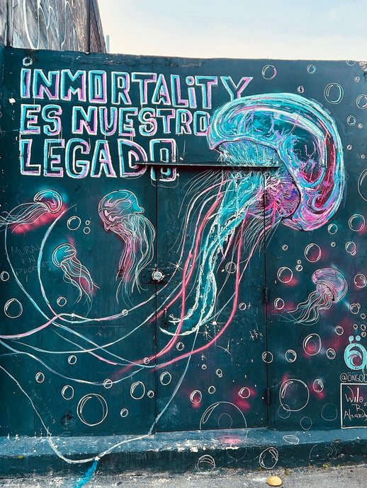 The Medusa’s Legacy