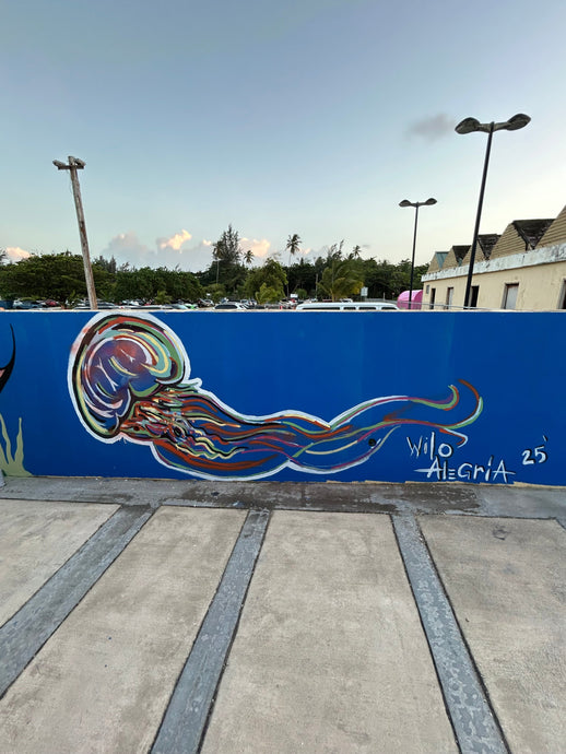 Evento: Paredes PAL Pueblo