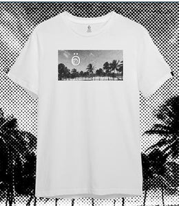 Palmar