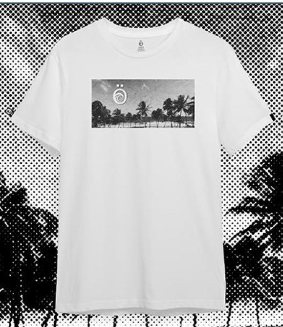 Palmar