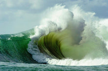 Load image into Gallery viewer, El_ palmar - Öngo_Crew